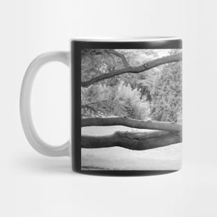 Jeunes filles branchées. Mug